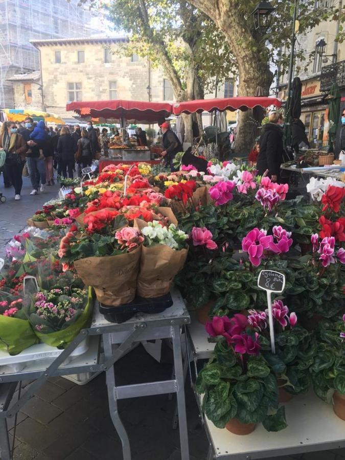 شقة Un Coin De Luberon LʼIsle-sur-la-Sorgue المظهر الخارجي الصورة
